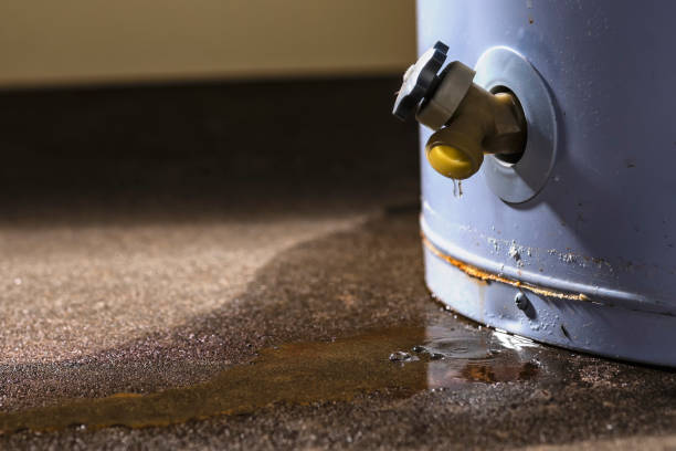 Best Water damage contractors near me  in Manor, TX