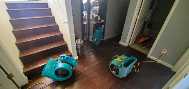 Best Water damage restoration mold remediation  in Manor, TX