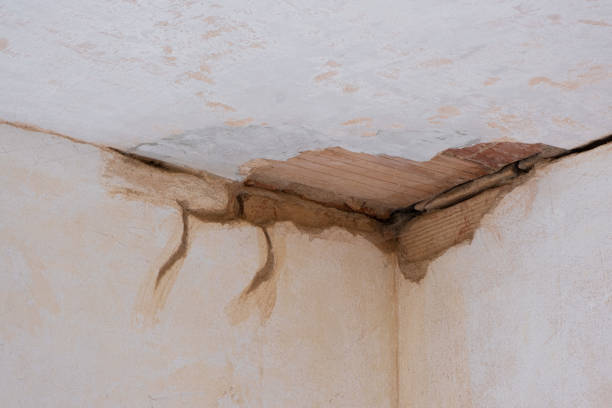 Best 24-hour water damage restoration  in Manor, TX
