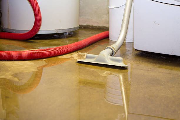 Best Water damage contractors near me  in Manor, TX