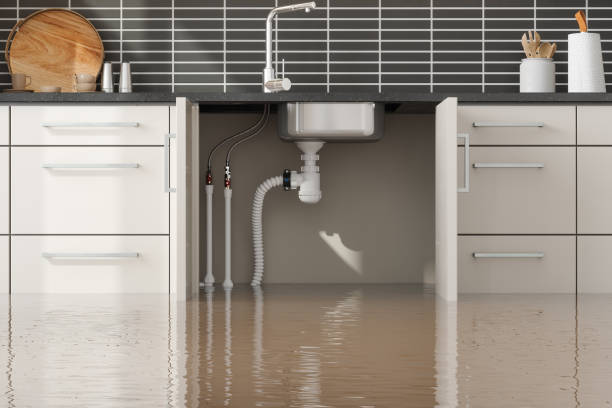 Carpet water damage restoration in Manor, TX