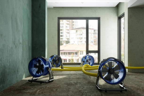 Best Water damage restoration near me  in Manor, TX