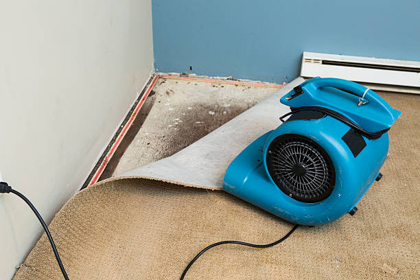 Best Commercial water damage restoration  in Manor, TX